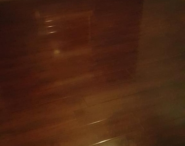 13110 Imperial Shore Drive - Photo Thumbnail 29