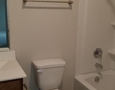 21423 Bluebonnet Cove Court - Photo Thumbnail 8