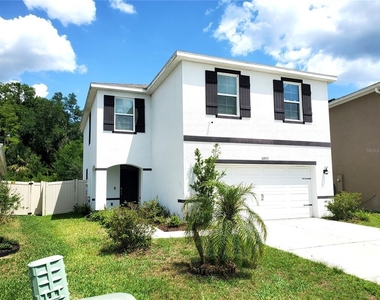 32871 Brooks Hawk Lane - Photo Thumbnail 3