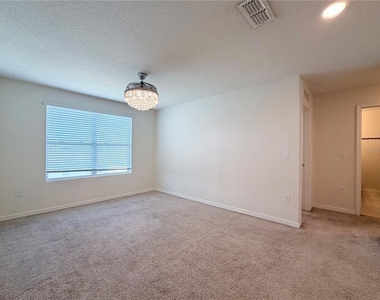 401 Briar Patch Loop - Photo Thumbnail 21