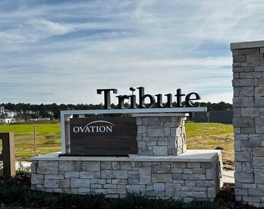 15236 Tribute Ovation Way - Photo Thumbnail 26