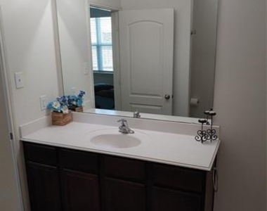 6209 Obsidian Creek Drive - Photo Thumbnail 13