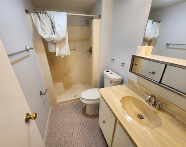 314 Lake Dora Drive - Photo Thumbnail 7