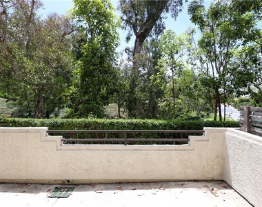 25062 Camino Del Mar - Photo Thumbnail 22
