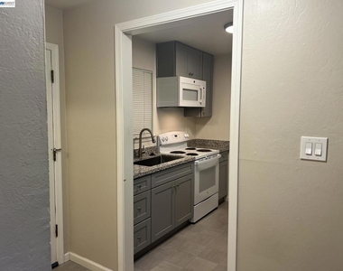 36976 Mulberry St - Photo Thumbnail 8