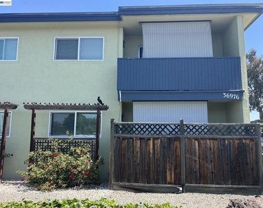 36976 Mulberry St - Photo Thumbnail 24