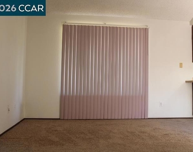 821 Shelley St - Photo Thumbnail 7