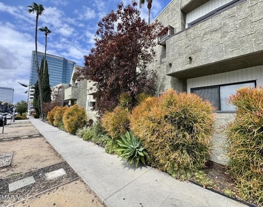 4506 Saugus Avenue - Photo Thumbnail 21