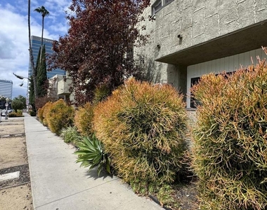 4506 Saugus Avenue - Photo Thumbnail 20