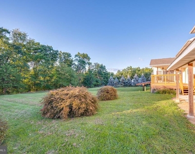 401 Ponderosa Trail - Photo Thumbnail 39