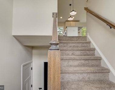 19 Carol Street - Photo Thumbnail 3