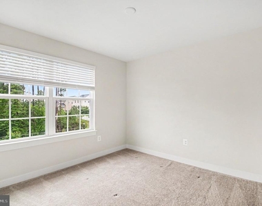 5704 Piney Glade Road - Photo Thumbnail 16