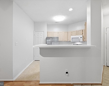 14316 Climbing Rose Way - Photo Thumbnail 8