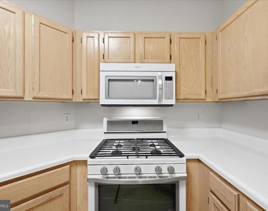 14316 Climbing Rose Way - Photo Thumbnail 7