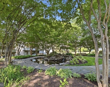 14316 Climbing Rose Way - Photo Thumbnail 20