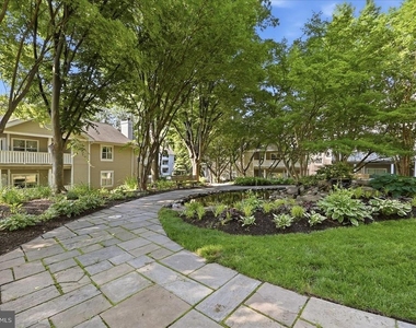 14316 Climbing Rose Way - Photo Thumbnail 21