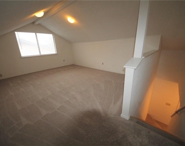 3206 Spaniel Dr - Photo Thumbnail 13
