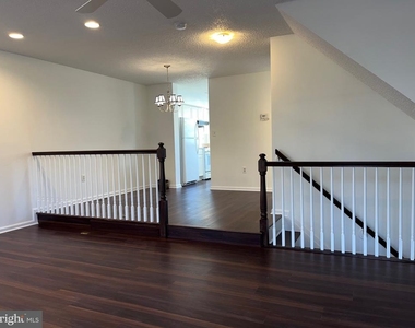 15 Halstead Place - Photo Thumbnail 6