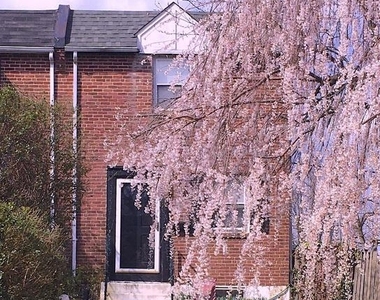 54 Madison Drive - Photo Thumbnail 35