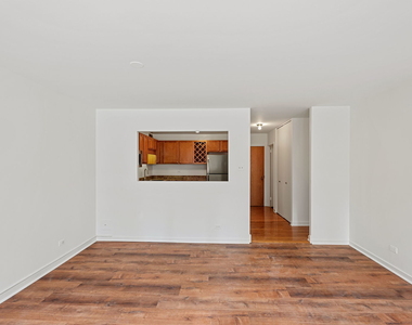 211 E Ohio Street - Photo Thumbnail 6