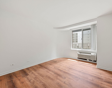 211 E Ohio Street - Photo Thumbnail 4