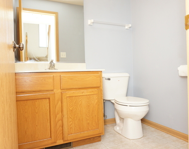 407 Waubonsee Drive - Photo Thumbnail 13
