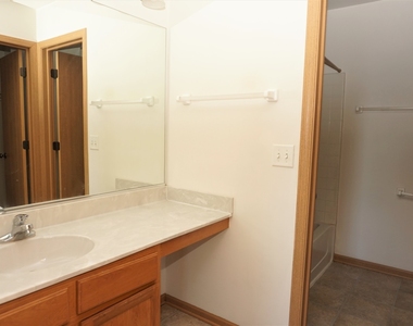 407 Waubonsee Drive - Photo Thumbnail 33