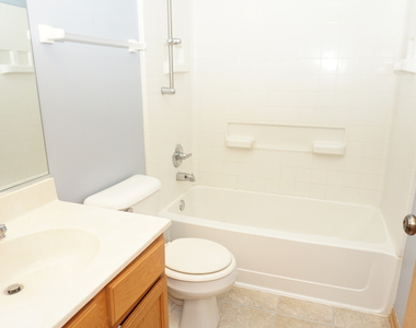 407 Waubonsee Drive - Photo Thumbnail 18