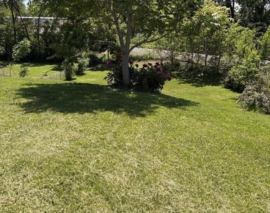315 Pierce Street - Photo Thumbnail 19