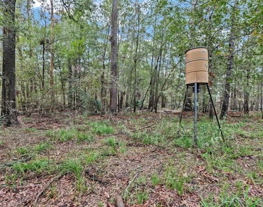 271 Shoreline Drive - Photo Thumbnail 21