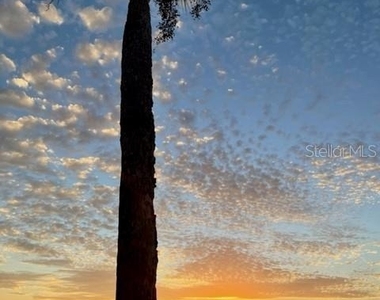 3734 Topsail Trail - Photo Thumbnail 59