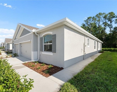 31351 Paper Birch Street - Photo Thumbnail 32