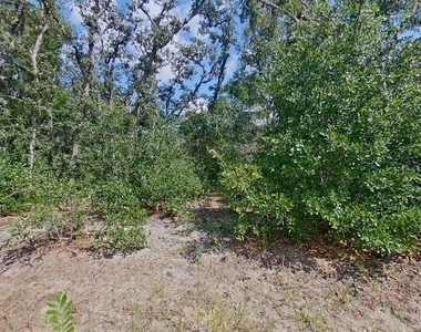 2907 W Camilo Drive - Photo Thumbnail 15