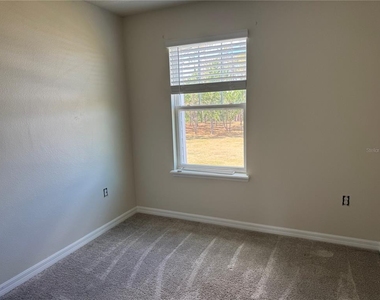 2228 Gopher Tortoise Terrace - Photo Thumbnail 17