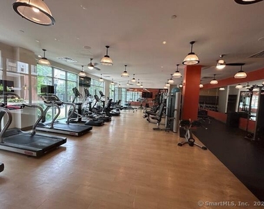 111b Morgan Street - Photo Thumbnail 18