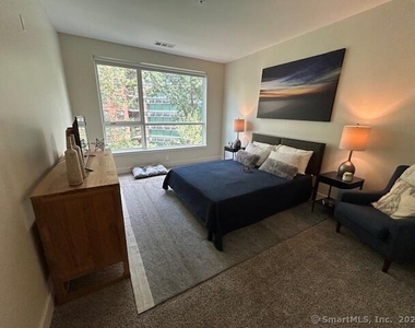 111b Morgan Street - Photo Thumbnail 23
