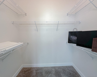 111b Morgan Street - Photo Thumbnail 9