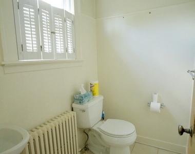 38 Hervey Street - Photo Thumbnail 7