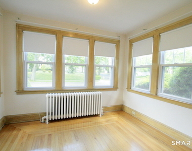 38 Hervey Street - Photo Thumbnail 4
