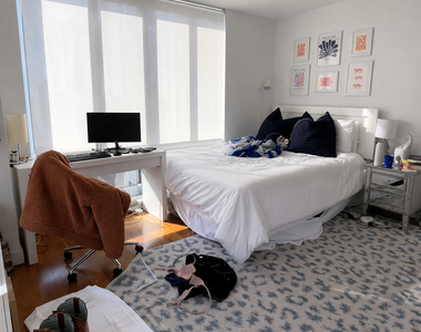 3rd avenue - Photo Thumbnail 5