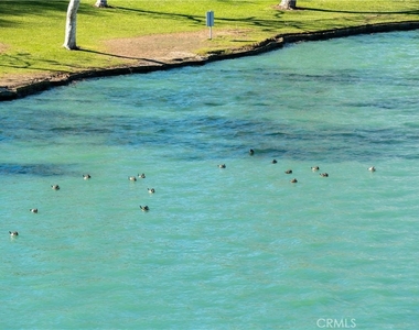 21 Lakefront - Photo Thumbnail 38