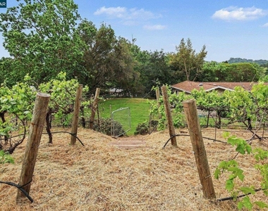 4 Dale Court - Photo Thumbnail 31