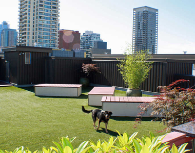 2312 3rd Avenue - Photo Thumbnail 22