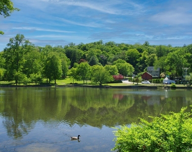 319 Main Street - Photo Thumbnail 22