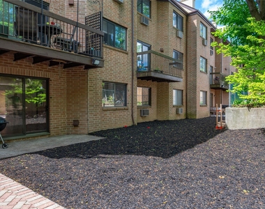 50 Dekalb Avenue - Photo Thumbnail 6