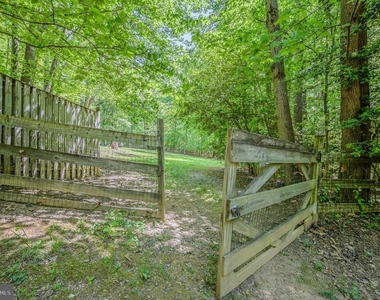 12510 Basswood Drive - Photo Thumbnail 11