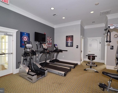 42463 Pine Forest Drive - Photo Thumbnail 29