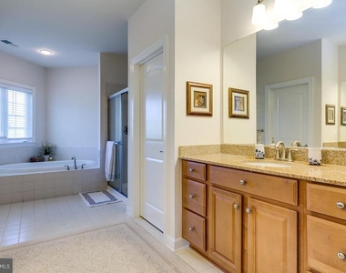 42463 Pine Forest Drive - Photo Thumbnail 17