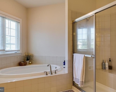 42463 Pine Forest Drive - Photo Thumbnail 18