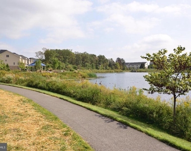 42463 Pine Forest Drive - Photo Thumbnail 33